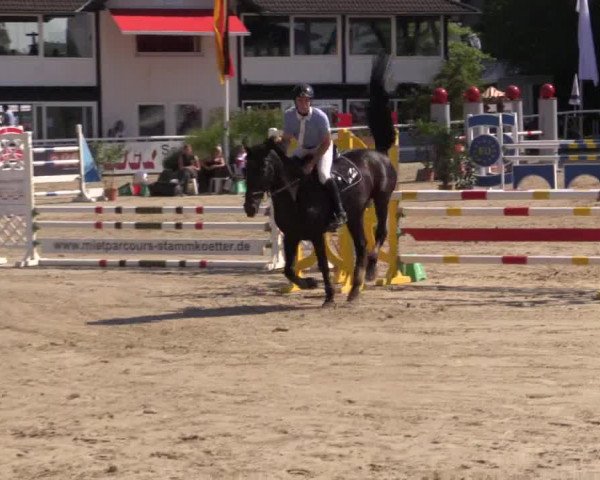 Summer Meeting Hachenburg 2015