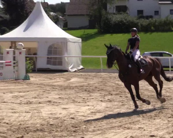 Summer Meeting Hachenburg 2015