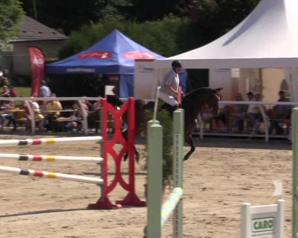 Summer Meeting Hachenburg 2015