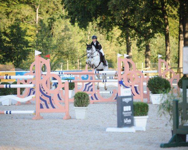 jumper Ami (Connemara Pony, 2006, from Hazy Smart Boy)
