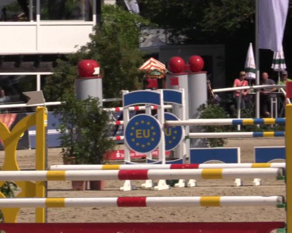 Summer Meeting Hachenburg 2015