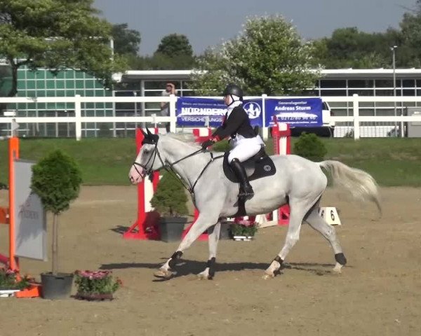 Reitturnier Mönchengladbach-Abtshof 2015