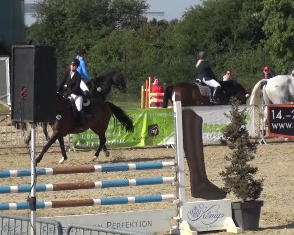 Reitturnier Mönchengladbach-Abtshof 2015