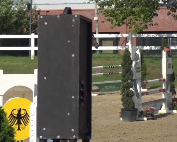 Reitturnier Mönchengladbach-Abtshof 2015