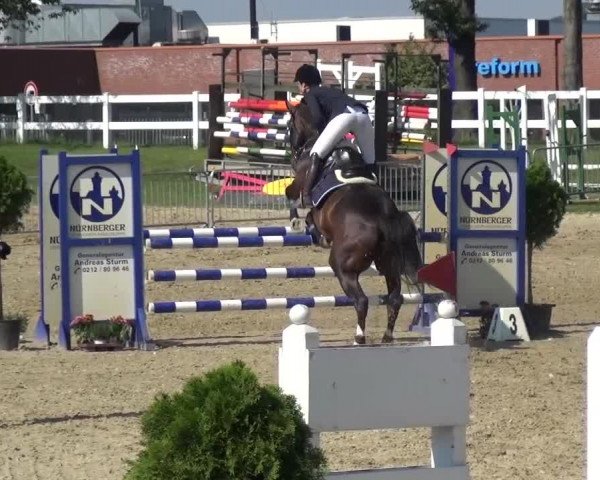 Reitturnier Mönchengladbach-Abtshof 2015