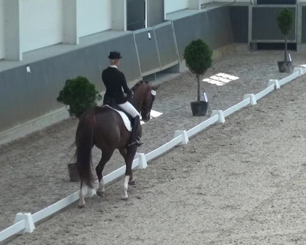 Reitturnier Mönchengladbach-Abtshof 2015