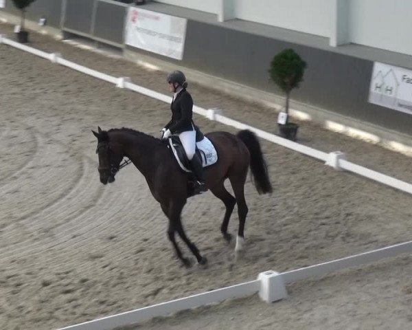 Reitturnier Mönchengladbach-Abtshof 2015