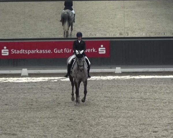 Reitturnier Mönchengladbach-Abtshof 2015