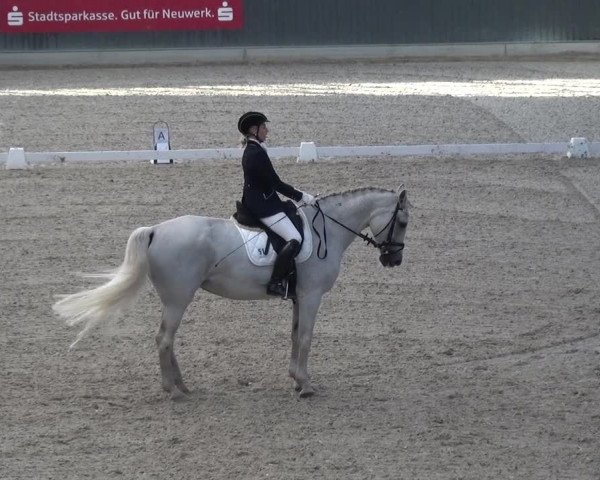 Reitturnier Mönchengladbach-Abtshof 2015
