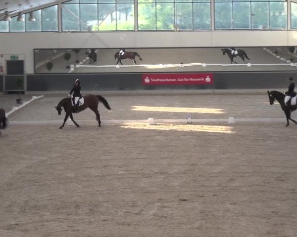 Reitturnier Mönchengladbach-Abtshof 2015
