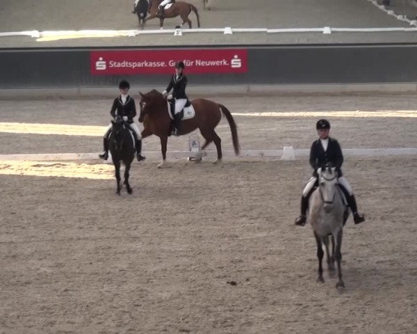 Reitturnier Mönchengladbach-Abtshof 2015