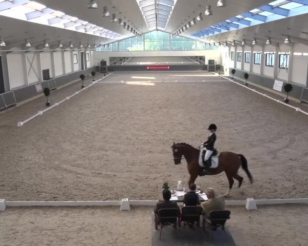 Reitturnier Mönchengladbach-Abtshof 2015