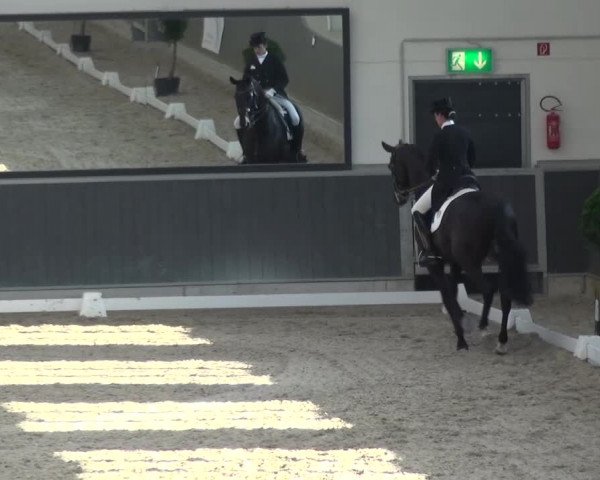 Reitturnier Mönchengladbach-Abtshof 2015