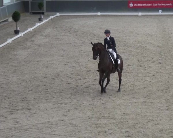Reitturnier Mönchengladbach-Abtshof 2015