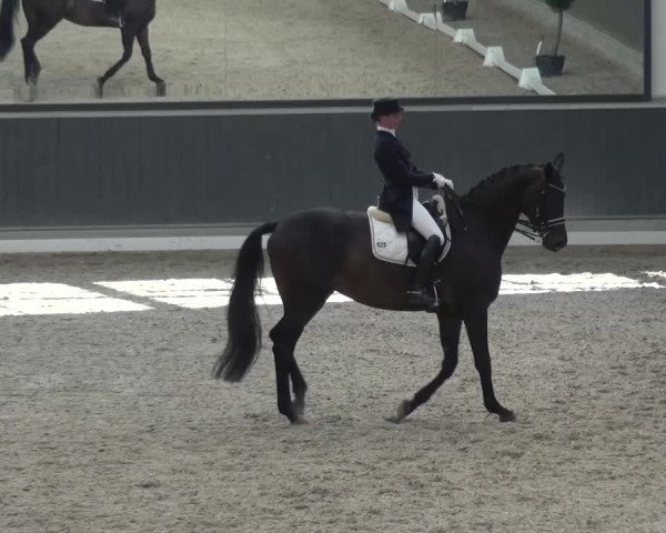 Reitturnier Mönchengladbach-Abtshof 2015