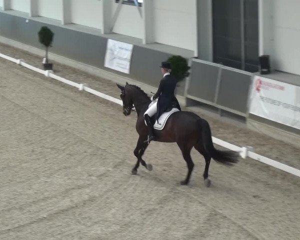Reitturnier Mönchengladbach-Abtshof 2015