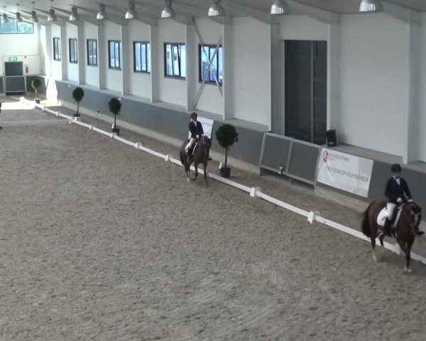 Reitturnier Mönchengladbach-Abtshof 2015