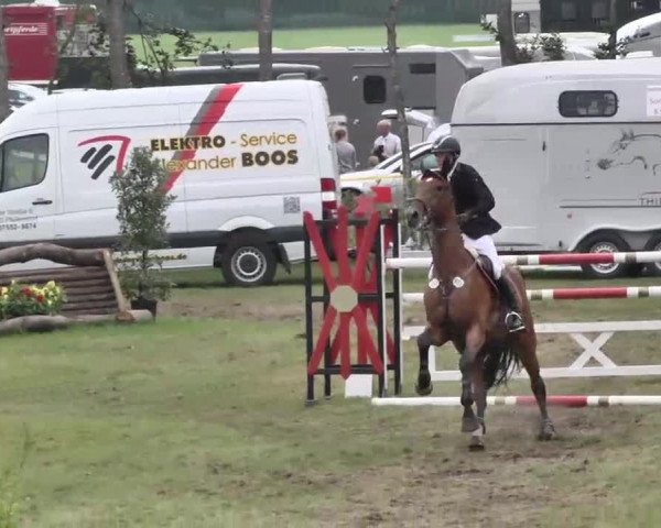 Reitturnier Pfullendorf 2015
