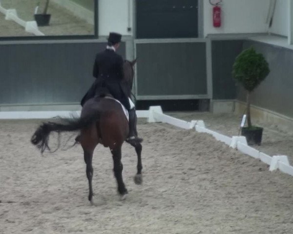 Reitturnier Mönchengladbach-Abtshof 2015