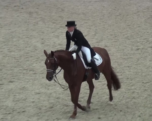 Reitturnier Mönchengladbach-Abtshof 2015