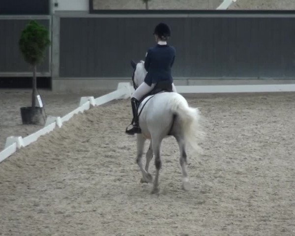 Reitturnier Mönchengladbach-Abtshof 2015
