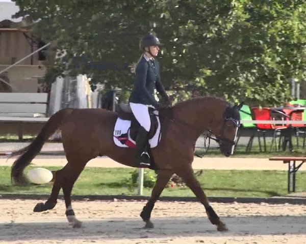 Reitturnier Waldachtal-Heiligenbronn 2015