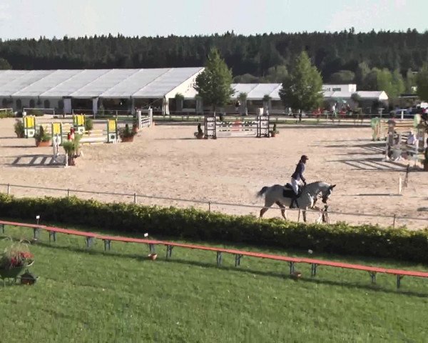 Reitturnier Waldachtal-Heiligenbronn 2015