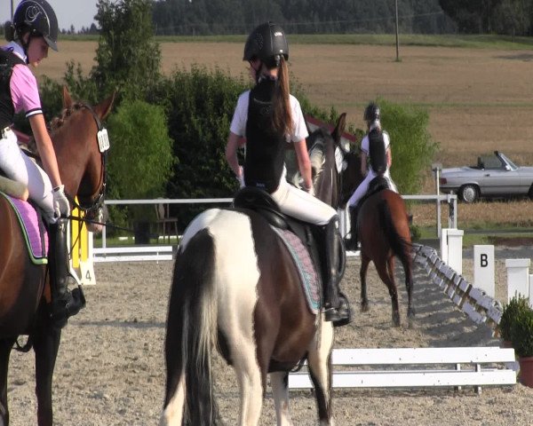 Mendener Reitertage 2015