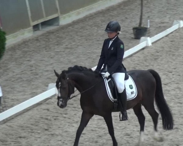 Reitturnier Mönchengladbach-Abtshof 2015