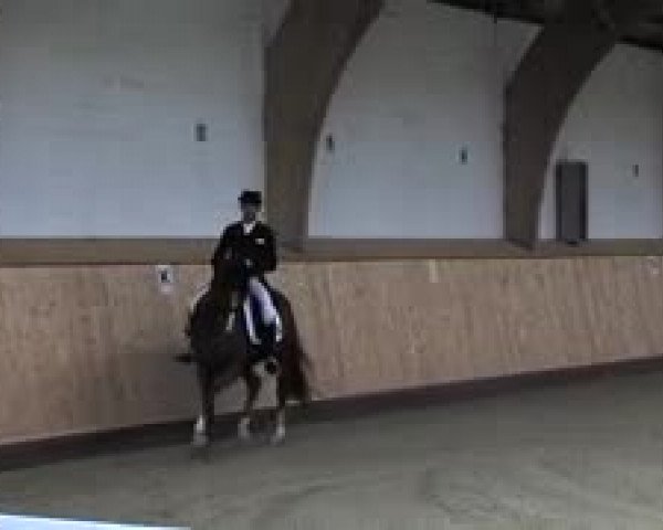 Schenefelder Sommerturnier 2015 - Horse & Classic