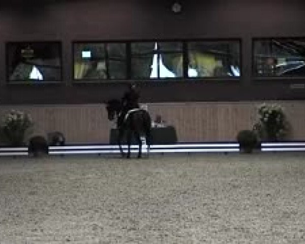 Schenefelder Sommerturnier 2015 - Horse & Classic