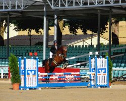 jumper Chaccy 2 (Westphalian, 2015, from Chacco's Son II)
