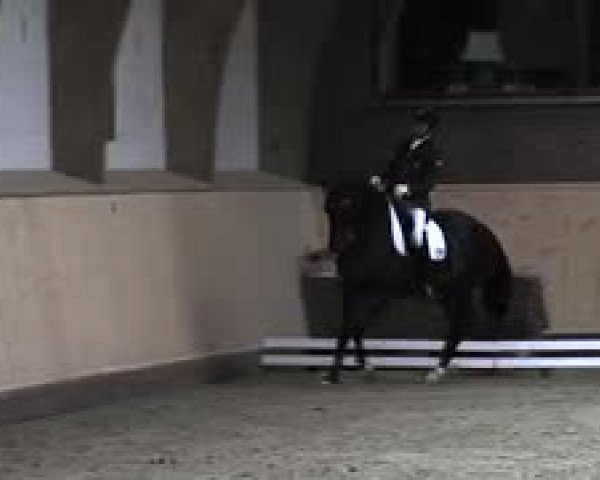 Schenefelder Sommerturnier 2015 - Horse & Classic