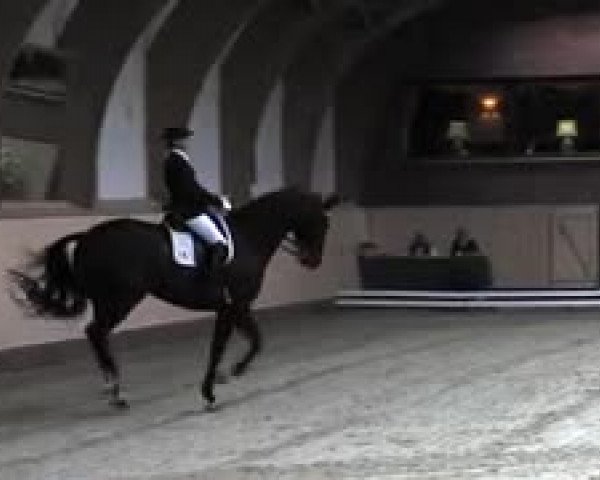 Schenefelder Sommerturnier 2015 - Horse & Classic