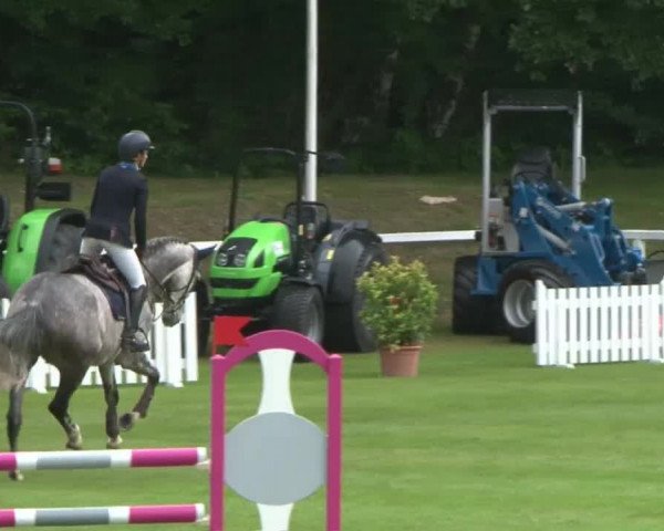 Schenefelder Sommerturnier 2015 - Horse & Classic