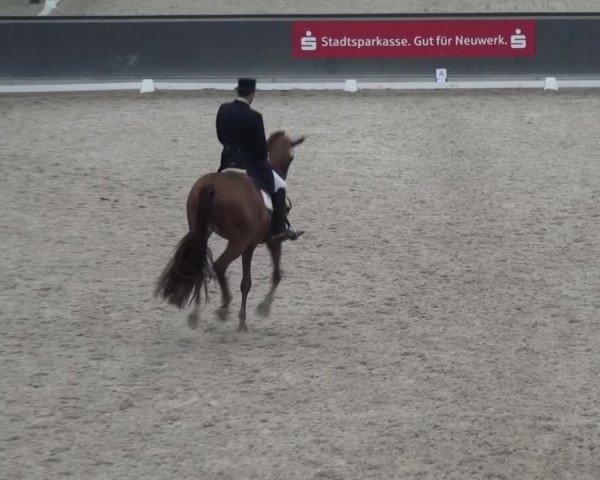 Reitturnier Mönchengladbach-Abtshof 2015