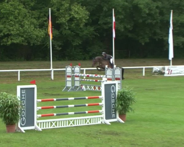 Schenefelder Sommerturnier 2015 - Horse & Classic