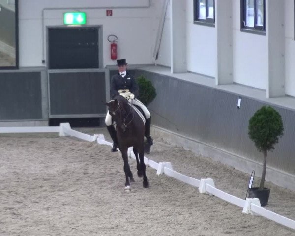 Reitturnier Mönchengladbach-Abtshof 2015