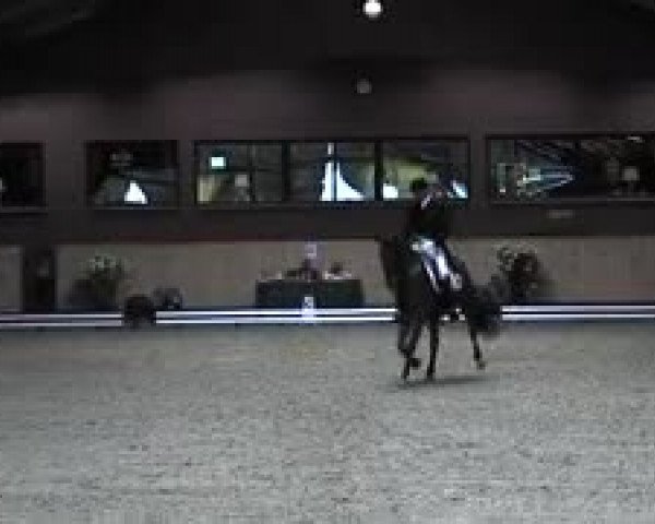 Schenefelder Sommerturnier 2015 - Horse & Classic