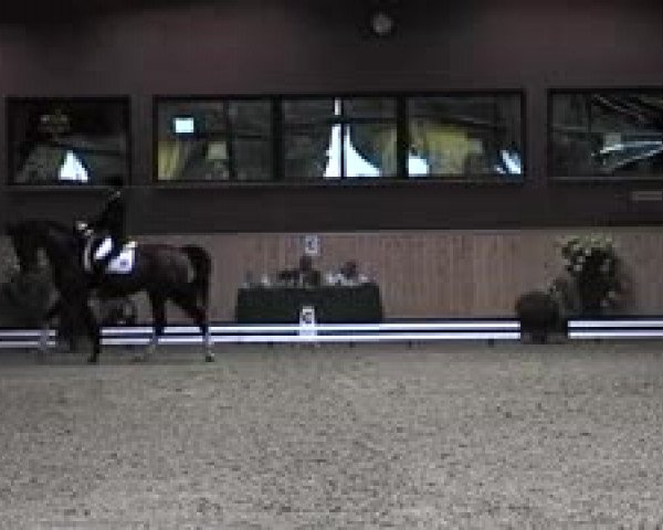 Schenefelder Sommerturnier 2015 - Horse & Classic