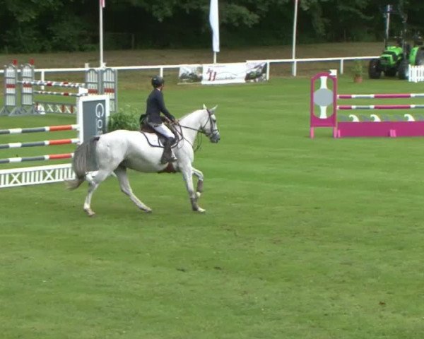 Schenefelder Sommerturnier 2015 - Horse & Classic