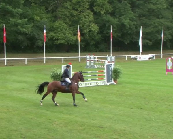 Schenefelder Sommerturnier 2015 - Horse & Classic