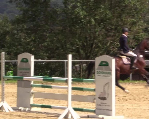 Reitturnier Bühren-Breckerfeld 2015