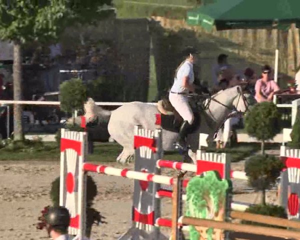 Reitturnier Waldachtal-Heiligenbronn 2015