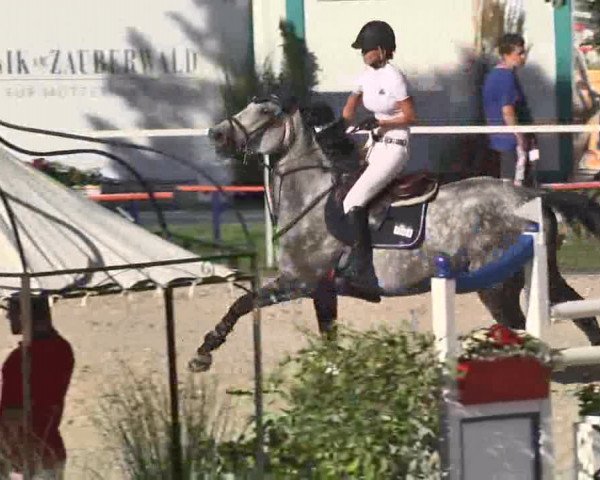 Reitturnier Waldachtal-Heiligenbronn 2015