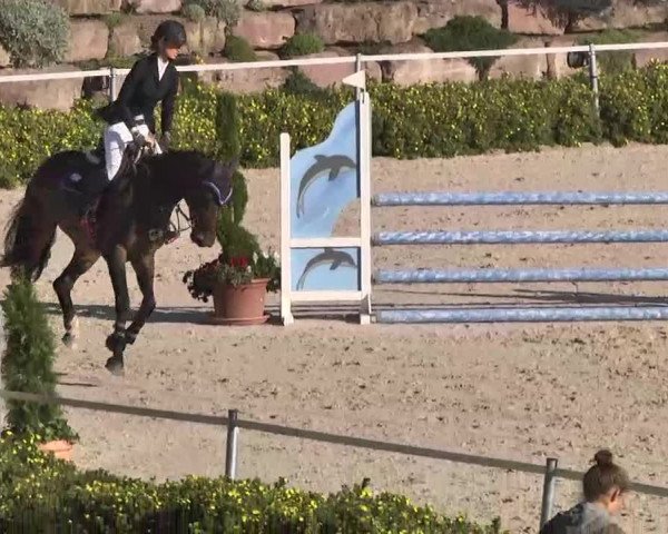 Reitturnier Waldachtal-Heiligenbronn 2015