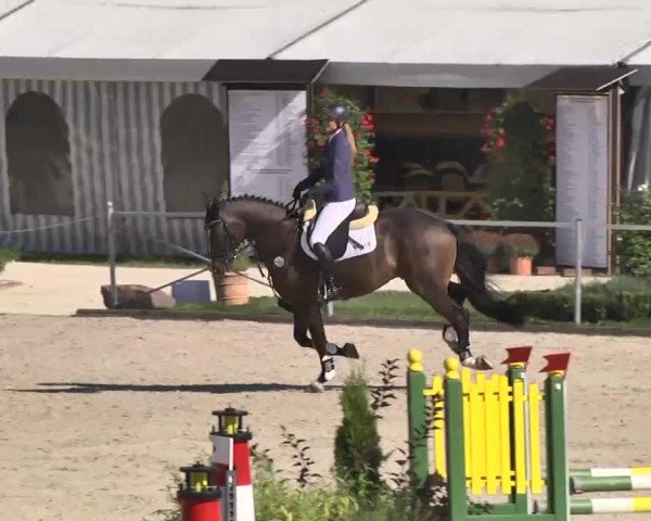 Reitturnier Waldachtal-Heiligenbronn 2015