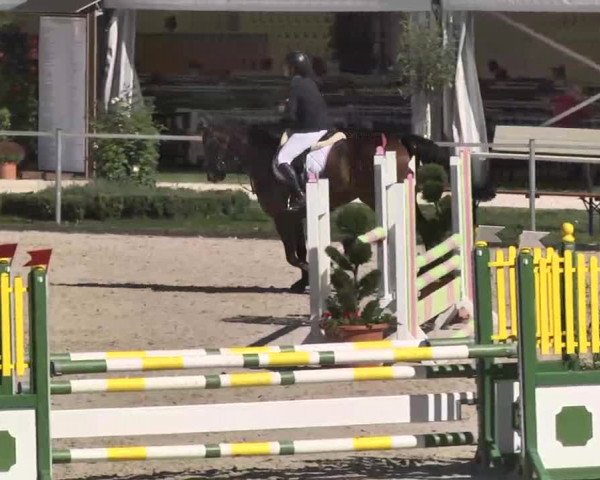 Reitturnier Waldachtal-Heiligenbronn 2015