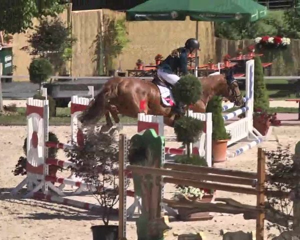 Reitturnier Waldachtal-Heiligenbronn 2015