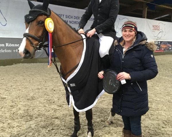 eventing horse Qrumble (Holsteiner, 2014, from Quantum)